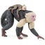 Loading Image 2 of 3