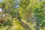 gallery view thumbnail