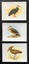 Loading Image 1 of 2