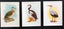 Loading Image 1 of 2