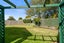 gallery view thumbnail