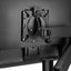 Lima Double Monitor Arm Carousel 5