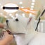 Folding Non-Slip Grooming Table with Adjustable Arm for Pet Bathing and Grooming Carousel 6