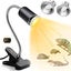 New Reptile Heat Lamps Turtle Lamp *on Afterpay* Carousel 1