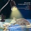 New Reptile Heat Lamps Turtle Lamp *on Afterpay* Carousel 2