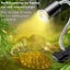 New Reptile Heat Lamps Turtle Lamp *on Afterpay* Carousel 3