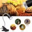 New Reptile Heat Lamps Turtle Lamp *on Afterpay* Carousel 9