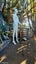 Life-Sized Female Mannequin 1.8 metres Tall Carousel 2