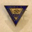 NZ YWCA FEDERATION OF CLUBS BADGE Carousel 4