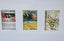 Framed. Five Vintage Pokémon Cards. Frame Has a Stand or Could be Wall Hung. Carousel 4