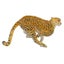 Loading Image 1 of 3