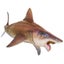 Loading Image 1 of 6