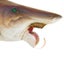 Loading Image 2 of 6