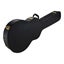 Artist JC450 Black Arch Top Hard Guitar Case Fits 335 Carousel 3