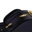 Artist JC450 Black Arch Top Hard Guitar Case Fits 335 Carousel 8