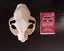 CAT SKULL - FERAL CAT SKULL Carousel 9