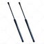 2PCS Tailgate Gas Struts Set Suitable For Peugeot 207 Hatchback 9659789480 Black Carousel 19
