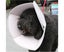 For Dogs Cats Adjustable Soft Cone Collar Carousel 4