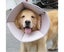 For Dogs Cats Adjustable Soft Cone Collar Carousel 5