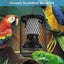 Reptile Ceramic Heat Lamp anti-hot Cage Light Holder Switch Chicken Brooder 100W Carousel 3