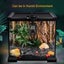 Reptile Ceramic Heat Lamp anti-hot Cage Light Holder Switch Chicken Brooder 100W Carousel 5