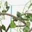 Artificial Tree Vine Reptile Pet Box Chameleon Lizard Gecko Climbing Vine Decor Carousel 4