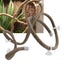 Artificial Tree Vine Reptile Pet Box Chameleon Lizard Gecko Climbing Vine Decor Carousel 5
