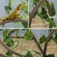 Artificial Tree Vine Reptile Pet Box Chameleon Lizard Gecko Climbing Vine Decor Carousel 10