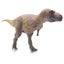 Loading Image 2 of 7