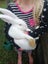 Flemish Giant Bunnies Carousel 1