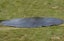 Bell Tent 6M Diameter Waterproof Tarp/Ground Sheet for Extra Protection Carousel 3