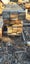 Loading Image 1 of 1