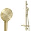 ELEMENTI SPLASH LUX SLIDE SHOWER PACKAGE - BRUSHED BRASS Carousel 6