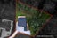 gallery view thumbnail