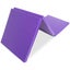 Tri-Fold Exercise Mat Carousel 1