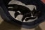 CAT RESCUE CHCH - Ready For Adoption Elton Carousel 4