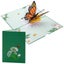 Colorpop Butterfly Greeting Card Orange Carousel 1