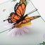 Colorpop Butterfly Greeting Card Orange Carousel 3