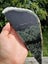 Pounamu greenstone Tiki carving slab Carousel 7