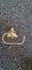 Loading Image 1 of 1