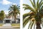 gallery view thumbnail