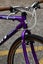 Retro GT Backwoods medium 26inch GLENFIELD Carousel 14