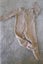 YOUNG ORIGINAL BABY ONESIE SIZE 6-9 MONTHS Carousel 1