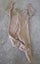 YOUNG ORIGINAL BABY ONESIE SIZE 6-9 MONTHS Carousel 2