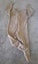 YOUNG ORIGINAL BABY ONESIE SIZE 6-9 MONTHS Carousel 3