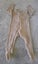 YOUNG ORIGINAL BABY ONESIE SIZE 6-9 MONTHS Carousel 4