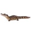 Papo Cayman Carousel 1