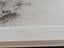 Very Small Original Ltd Edition Artist's Etching Print Carousel 4