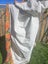 Amazing vintage screenprinted curtain Carousel 6