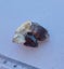 Moorella smokey quartz- natural- Australia Carousel 4